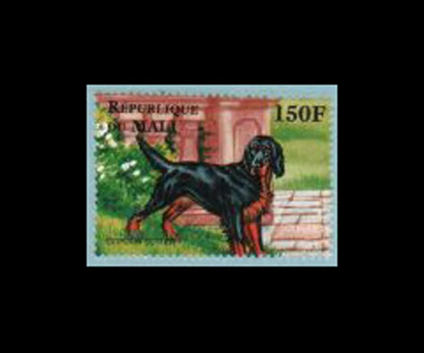 Mali, Sc #824g, MNH, 1997, perro, Gordon Setter Foto 1 de 1