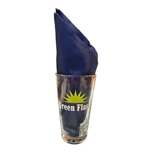 Green Flash Brewing  Craft beer 16 oz pint glass bar beer man cave - Picture 1 of 2