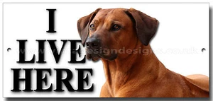 RHODESIAN RIDGEBACK "I LIVE HERE" METAL SIGN,DOG BREEDS,WARNING,SECURITY SIGN. - Picture 1 of 1
