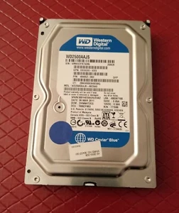 Disco duro de escritorio Western Digital WD Caviar Blue WD2500AAJS 250 GB 3,5" SATA II - Imagen 1 de 3