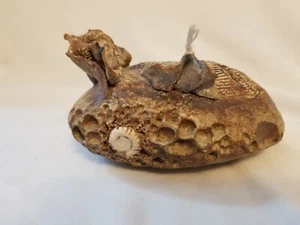 Liquid Candle Ceramic Reef Sea Life Ocean Decor Hand Made - Picture 1 of 10
