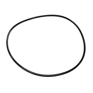 O-Ring for Waterway Executive Volute 805-0261 / Pentair Sta-rite Valve 271151 - Picture 1 of 1