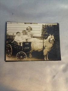Vtg Photo 1934 Flint, MI 3 Kids In Cart Pulled By An Angora Goat Charming Sepia - Picture 1 of 5