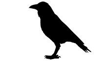 Crow Raven Black Bird Car Window Sticker Witch Halloween Vinyl Decal
