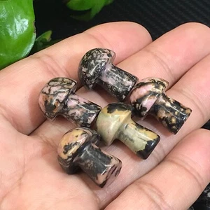 10pcs natural rhodonite jasper Mushroom Quartz Crystal Reiki healing gem - Picture 1 of 11