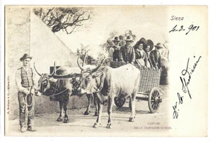 Siena - Costumes of the Sienese countryside - 1901 - Picture 1 of 2