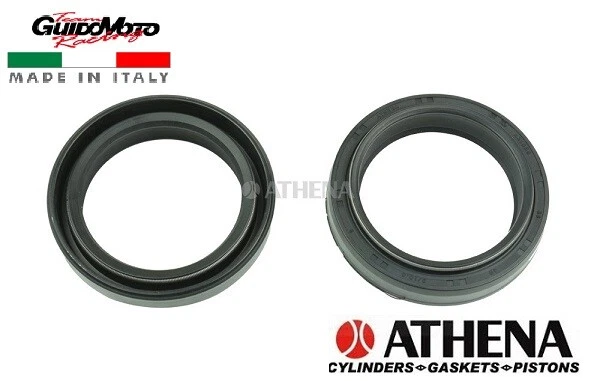 PARAOLIO FORCELLA 34,74 X 47 X 9 MOTOCICLI SCOOTER ATHENA P40FORK455136 - Immagine 1 di 1