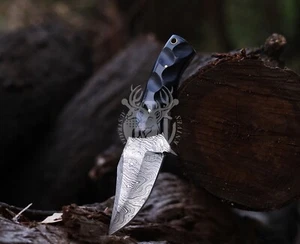 Small Hunting Knife Bowie Sharp Fixed Blade Camping Military Outdoor Survival Au - Picture 1 of 6