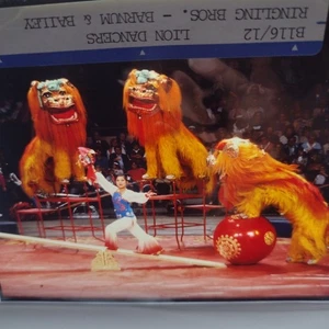 Original Foto Negativ "Lion Dancers'' Barnum & Bailey 1987 4'' x 5'' - Bild 1 von 4