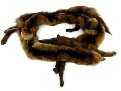 Brown Mink Fur Stole Wrap Neck Shoulder 3 Full Body Pelts w Tails Vintage 1940s - Image 1 of 4