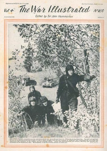 WAR ILLUSTRATED 100 AUSSIES WESTERN DESERT_RED ARMY TANKS_BAILEY BRIDGE_CRETE - Picture 1 of 4