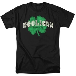 T-Shirt St. Patrick's Day ""Hooligan For A Day"" - bis 5X - Bild 1 von 6