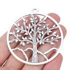 5 x Tibetan Silver Large Life Tree Round Charms Pendants for Jewellery Making