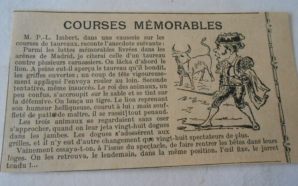 Humour Taureau Corrida Courses Mémorables  Image Print 1906 - Photo 1/1