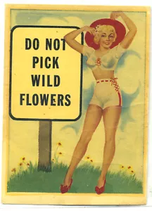 decalcomania vintage pin up girl rara serie glamour girl non raccogliere fiori selvatici - Foto 1 di 2