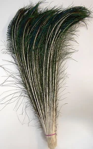 25 piezas ESPADAS PAVO REAL plumas naturales 25""-30"" artesanales/almohadilla/decoración/disfraz/Halloween - Imagen 1 de 4