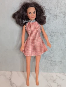Vintage 1977 Hasbro Charlie's Angels Sabrina Kate Jackson 9" Figur Puppe - Bild 1 von 7