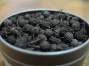 Kabab Chini CUBEB, Piper cubeba, Java pepper WHOLE Organic 100G FREE SHIPPING - Picture 1 of 5