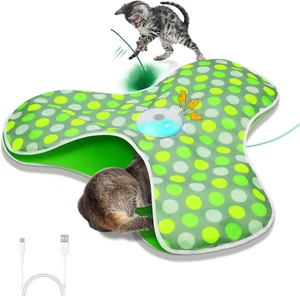 Interactive Cat Toy, Automatic Cat Toys for Indoor Cats, Hide and Seek Cat Toy w - Picture 1 of 12