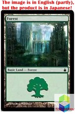 Magic: The Gathering MTG Jpver Foil Forest (303) RAV Basic Land