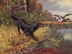 GORDON SETTER CHARMANTE HUNDEGRUSS NOTIZKARTE SCHÖNER HUND AM WASSER - Bild 1 von 1