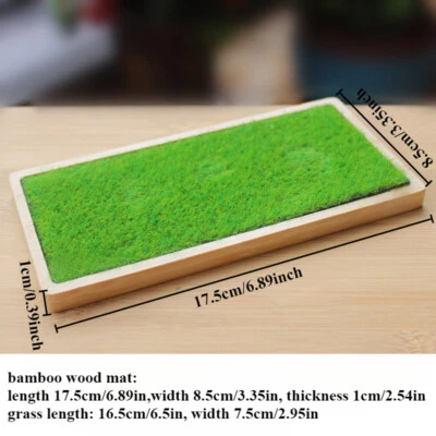Alfombrillas de césped artificial bandejas de madera de bambú miniatura jardín césped modelo base artesanía Foto 1 de 4