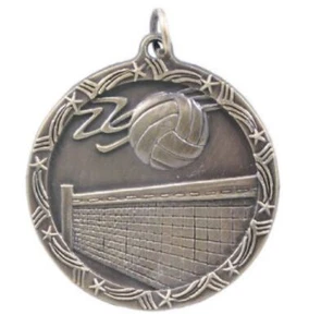 Volleyball Medal School Team Sport Award Trophy W/ FREE Lanyard FREE SHIP M149 - Picture 1 of 2