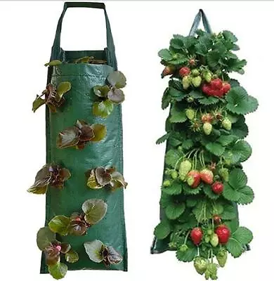 4/8 Pockets Hanging Planter Grow Bag Potato Strawberry Growth  Pouch Container - Image 1 of 4