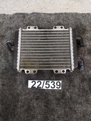 Radiatore Originale Scooter Peugeot Jet force 50cc misure in foto - Imagen 1 de 4