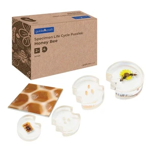 Kaplan Early Learning Specimen Life Cycle Puzzles - Honey Bee - Picture 1 of 7