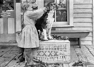 1910 Vintage Girl Grooming Dog PHOTO Hair Cut Barber Shop Bath Washing Chicago - Bild 1 von 2