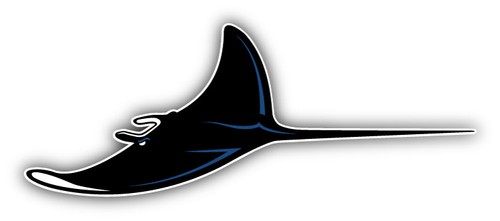 Tampa Bay Devil Rays MLB Baseball Logo Car Bumper Sticker - 9'', 12 ...