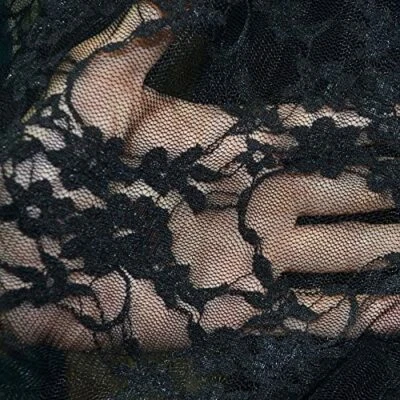 Lace Stretch Fabric Giselle Floral 60" Wide Nylon Spandex Sold by the Yard.  - Image 1 of 4