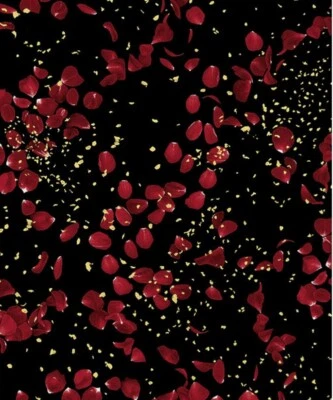 Timeless Treasures - Falling Red Metallic Rose Petals Quilting & Crafting Fabric - Image 1 of 2