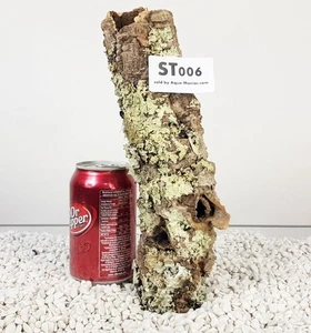 CORK BARK tube hide TARANTULA GECKO spider LIZARD REPTILE VIVARIUM 27cm - Picture 1 of 6