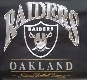 Oakland Raider National Football League VTG 1996 Lee Sport /Nutmeg Tag T Shirt L - Picture 1 of 14