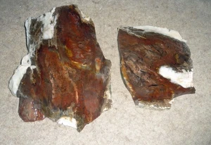 2 Bog Agate slabs from Nevada Reds and Brown with white - Picture 1 of 4