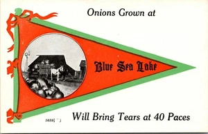 Onions Grown at Blue Sea Lake, Quebec, Canada Pennant Postcard, Tears 40 Paces - Picture 1 of 2