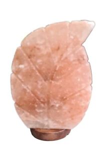 Geese Design-Trends Himalaya Salzlampe Salzkristall Aus Punjab Pakistan 3,5 kg 