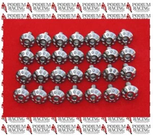 DUCATI 1098 SILVER TITANIUM FAIRING SCREWS / BOLTS (SET OF 28) - Picture 1 of 1