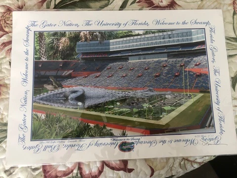 Florida Gators Football Field "THE SWAMP" Stadium - POSTER Print - 19 x 13 Cover