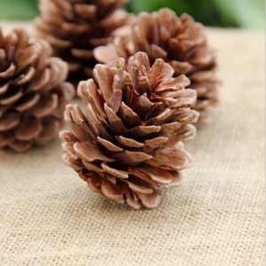 12/24/48/96/192pcs Christmas Pine cones XMAS Tree Hanging Ornament Decorations - Picture 1 of 8