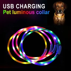 Collar LED para Mascotas Perros USB Recargable Intermitente Luminoso Seguridad Luz Nocturna Reino Unido - Imagen 1 de 16