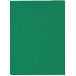 Bolsas de plástico abiertas planas de polietileno Plymor 9" x 12", verde 2 mil - Imagen 1 de 4