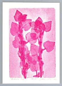 Vintage 60s,70s Botanical Scientific X-Ray Art Print, Floral Monotype, 7x5 - Picture 1 of 2