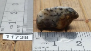 AGATE DENDRITE pierre roulée mineraux lithotherapie collection esoterisme reiki - Picture 1 of 1