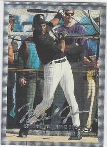 1994 Sports Sensations National Sports Convention Promo Michael Jordan Swinging - Picture 1 of 2
