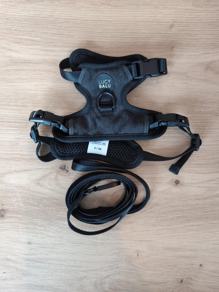 Lucy Balu Katzengeschirr, Schwarz, XS/S, Neu - Bild 1 von 1