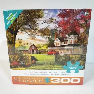 Jigsaw Puzzle 300 Pc Extra Large Pieces Eurographics Puzzle - Picture 1 of 4