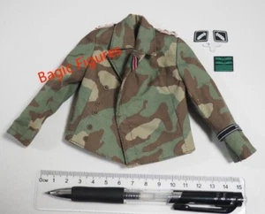 1/6 Action Figures Model DID D80160 tank force Jagger camouflage - Picture 1 of 1